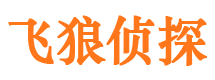 嘉陵外遇取证